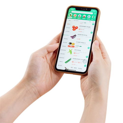 阿里巴巴關聯企業成立上海菜劃算公司，聚焦食品互聯網銷售加速搶占市場